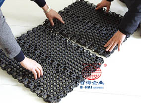 纲手的秘密免费观看全集