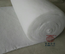 纲手的秘密免费观看全集