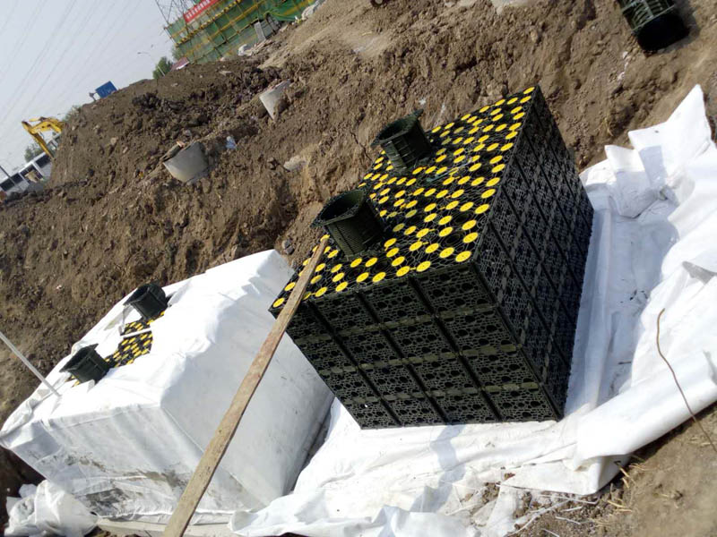 纲手的秘密免费观看全集