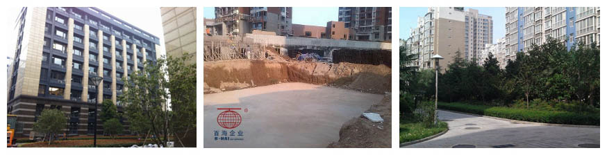 纲手的秘密免费观看全集