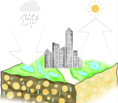 纲手的秘密免费观看全集