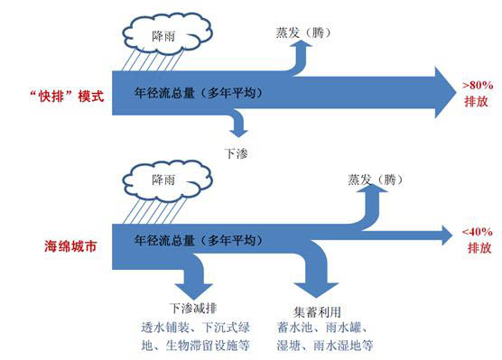 纲手的秘密免费观看全集