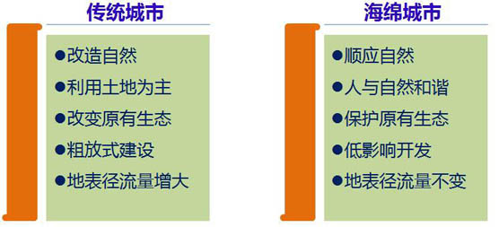 纲手的秘密免费观看全集