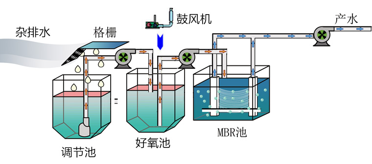 纲手的秘密免费观看全集