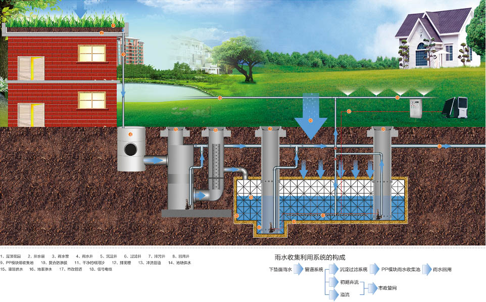 纲手的秘密免费观看全集