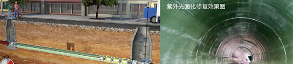 纲手的秘密免费观看全集