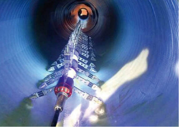 纲手的秘密免费观看全集