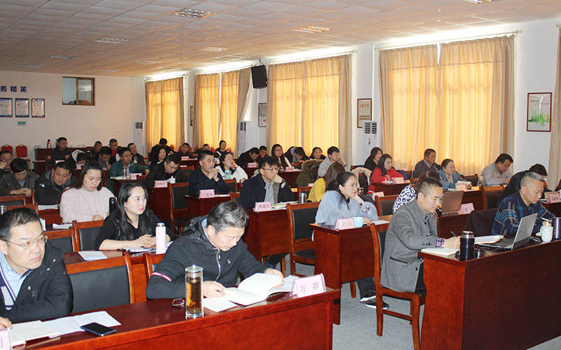 纲手的秘密免费观看全集