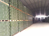 纲手的秘密免费观看全集