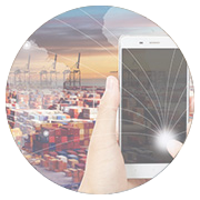 纲手的秘密免费观看全集